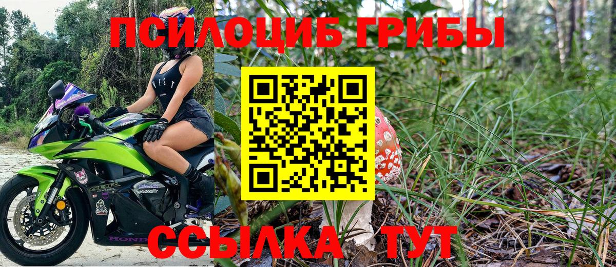 Ульяновск  Псилоцибиновые грибы Magic Shrooms  Вход с VPN 